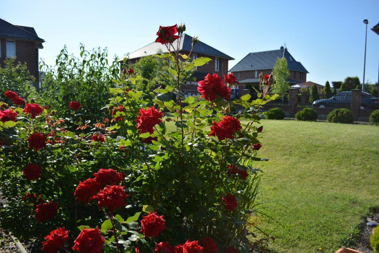 Guest house Rose House *