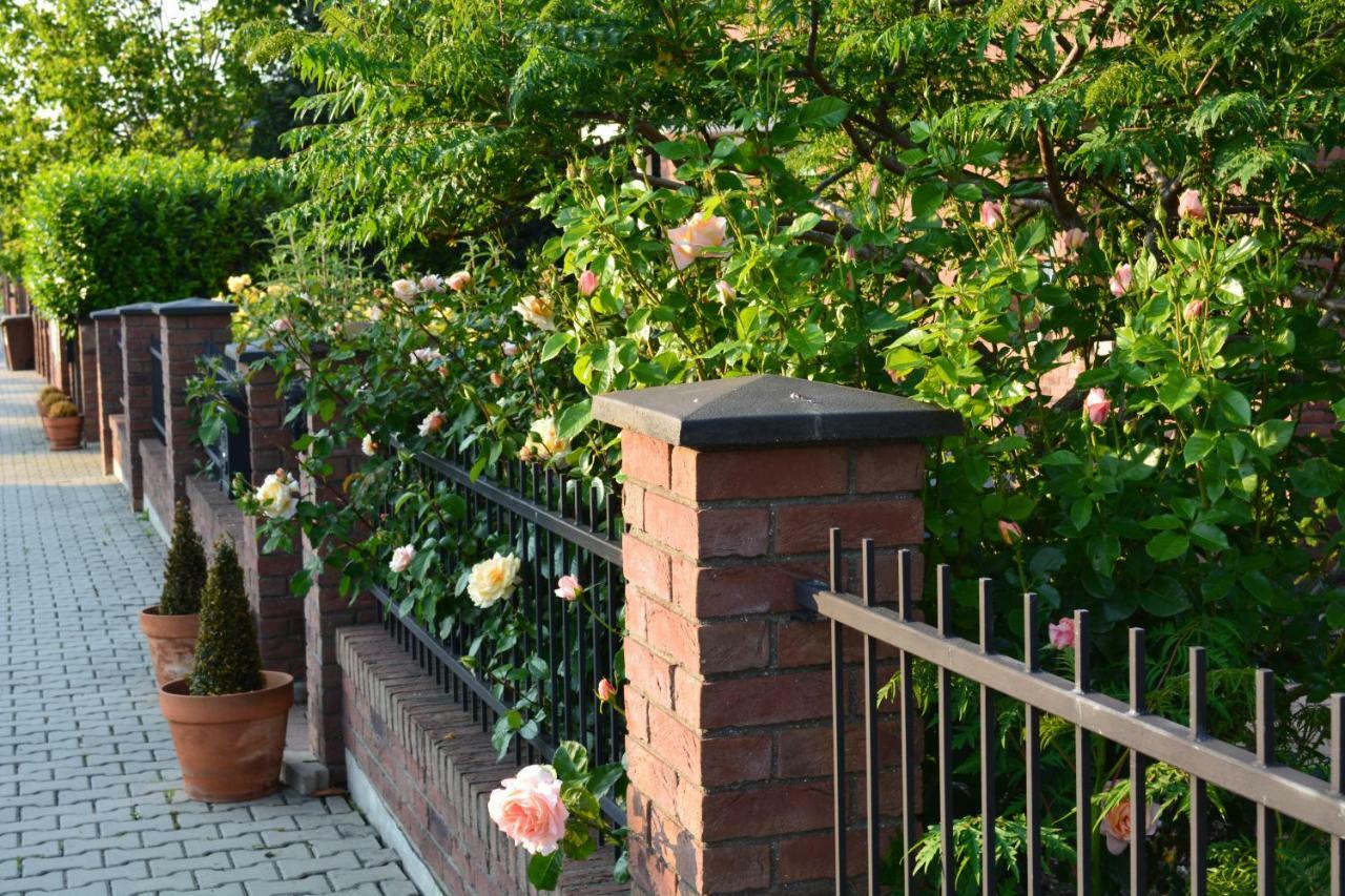 Rose House * Praha