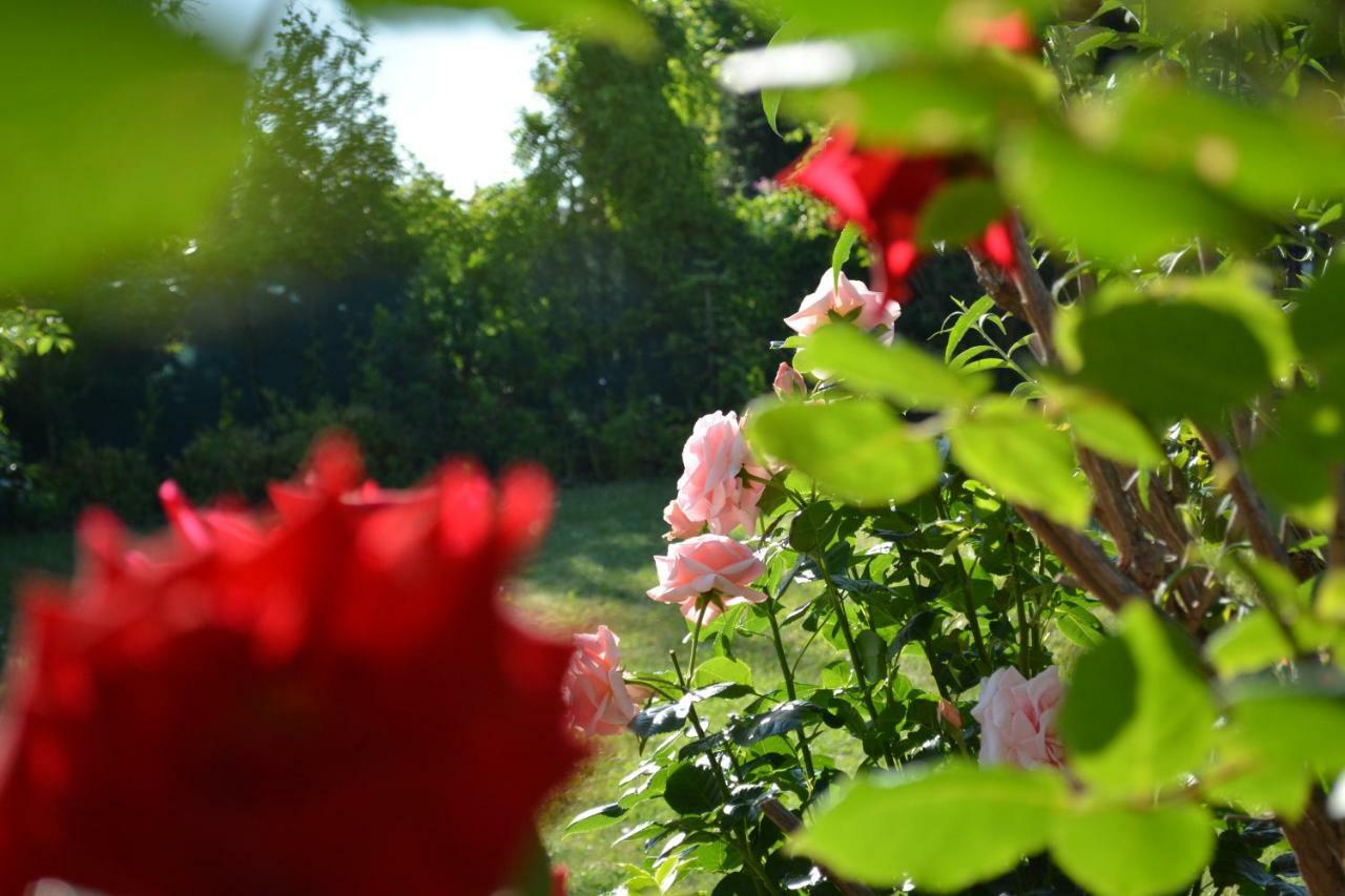 Rose House Praha